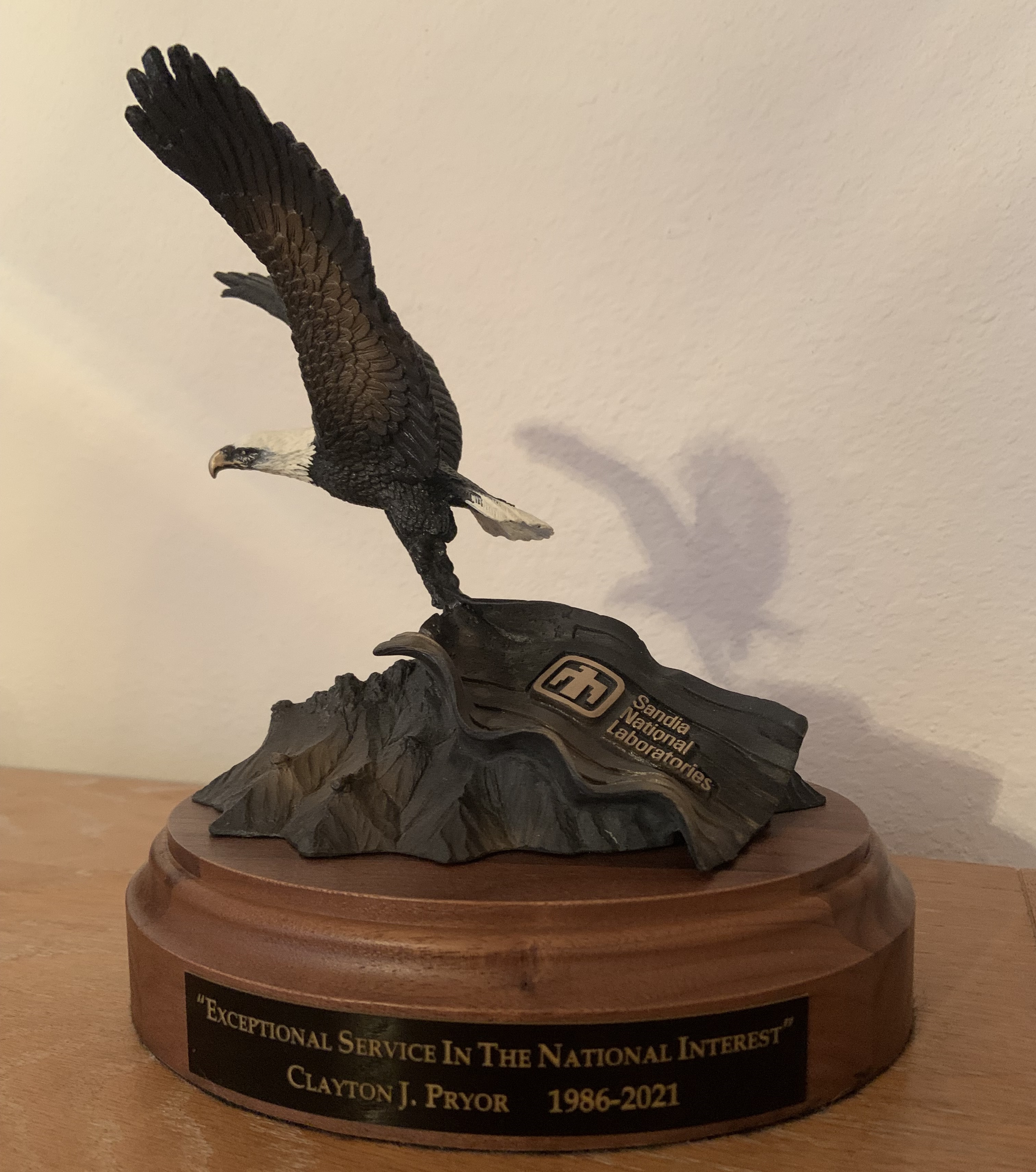SNL Eagle